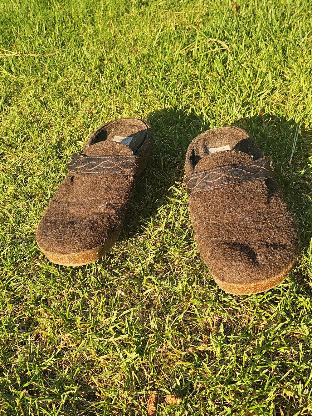 Earth Origins Auora Janet 10M Brown Mahogany Slip-On Wool Comfort Clog B38